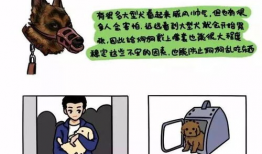绳罚漫画,绳罚漫画背后的故事